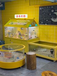 -神奇动物撸宠馆·羊驼·小浣熊·异宠(豫园店)