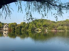 -杭州半山国家森林公园