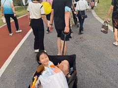 -上海长兴岛郊野公园