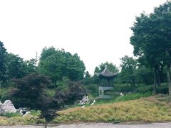 -无锡梁鸿湿地丽笙度假酒店·流觞西餐厅