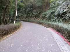 -广州市帽峰山景区