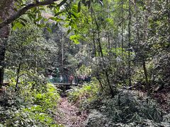 -中国科学院西双版纳热带植物园
