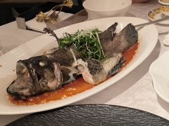 -南海渔村(珠江新城店)