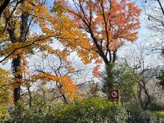 -虞山风景区
