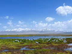 -花湖生态旅游区