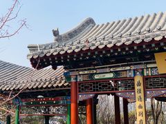 -迎泽公园