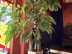-泰融玺·泰式按摩SPA(包河万达店)