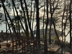 -杭州千岛湖开元度假村