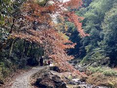 -丹山赤水风景名胜区