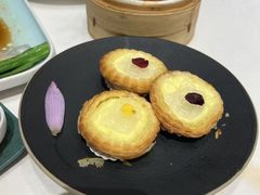 -千灯盛汇·头牌粤菜(致越优城店)