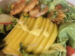 芒果牛油果大虾色拉-乐意坊Alla Torre意大利手工披萨(陆家嘴旗舰店)