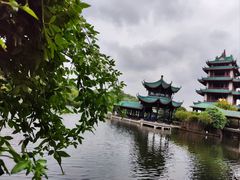 -桂湖森林公园