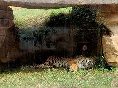 -杭州野生动物世界
