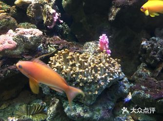 攻略 | 广州海洋馆海洋世界攻略