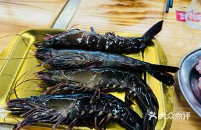 Fresh Giant River Prawn