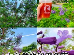 -飞凤山奥体公园