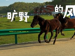 -关山草原