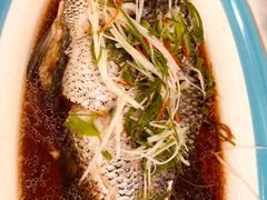 -高老庄新家宴(北斗星广场店)