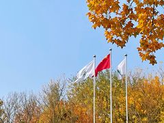 -北宫国家森林公园