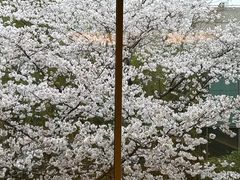 -阳澄湖费尔蒙酒店颐丰阁中餐厅(马鞍山西路店)