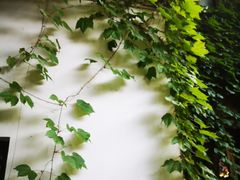 -中国茶叶博物馆(双峰馆区)