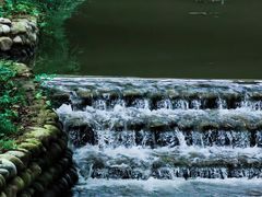 -桤木河湿地公园