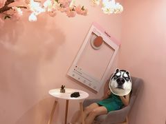 -樱花里音乐餐吧·牛扒椰子鸡(东圃店)
