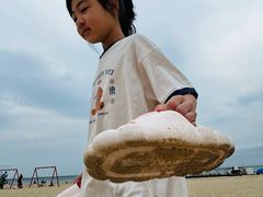 -那香海钻石沙滩浴场