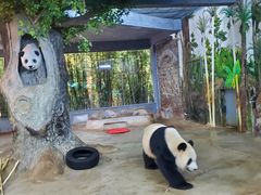 -海南热带野生动植物园