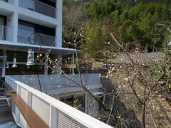 -原乡芦茨咖啡