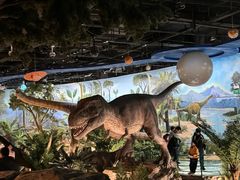 -陕西自然博物馆