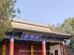 -张掖大佛寺景区