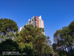 -新江湾城公园