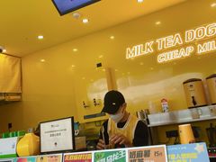 -奶茶狗(旧梦店)