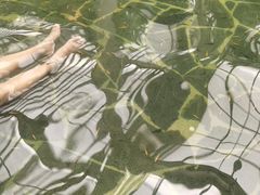 -龙达温泉生态城
