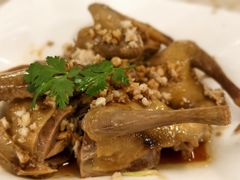 -百利鸽王(紫薇路店)