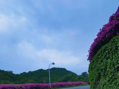 -大围山国家森林公园