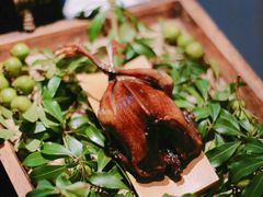 -蝶舍·MAISON PAPILLON