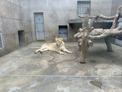 -西安秦岭野生动物园