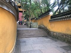 -普陀山风景名胜区-法雨禅寺