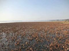 -阳澄湖半岛旅游度假区