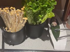 -海底捞火锅(万达广场店)
