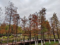 -映月湖公园