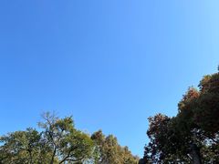 -慈城古县城景区