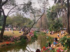 -人民公园(罗湖区)