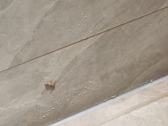 -禾尖S酒店(深圳大学店)