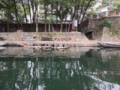 -楠溪江风景名胜区