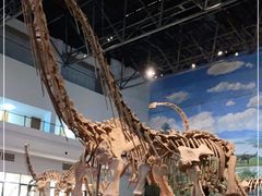 -自贡恐龙博物馆