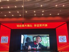 -中街刘老根大舞台