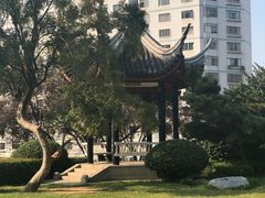 -白沙古井